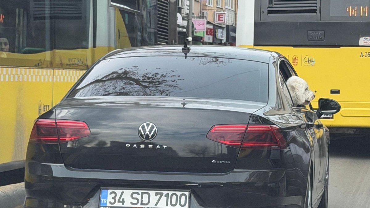 The dog is seen sticking its head out of a car window as the vehicle moves through traffic in Üsküdar, Istanbul, Türkiye, Dec. 12, 2025. (IHA Photo) 