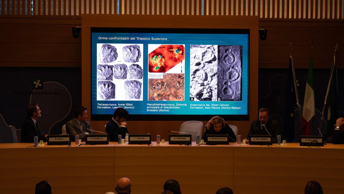 Ancient dinosaur footprints uncovered in Italy’s Alpine region