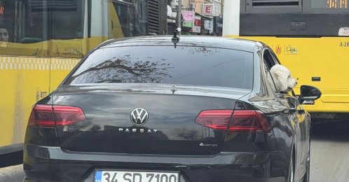 The dog is seen sticking its head out of a car window as the vehicle moves through traffic in Üsküdar, Istanbul, Türkiye, Dec. 12, 2025. (IHA Photo) 