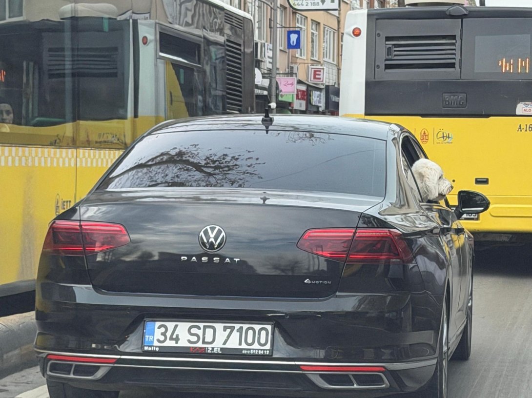 The dog is seen sticking its head out of a car window as the vehicle moves through traffic in Üsküdar, Istanbul, Türkiye, Dec. 12, 2025. (IHA Photo) 