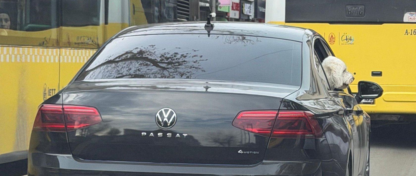 The dog is seen sticking its head out of a car window as the vehicle moves through traffic in Üsküdar, Istanbul, Türkiye, Dec. 12, 2025. (IHA Photo) 