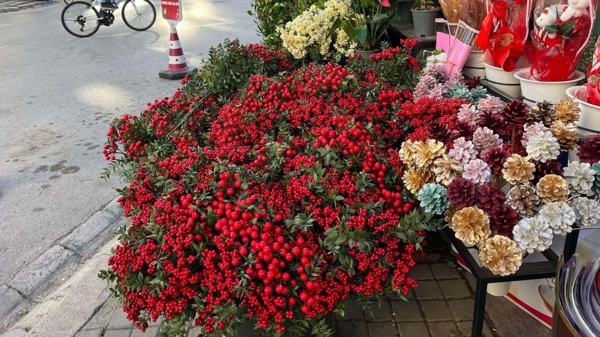 Bouquets of kokina flowers are displayed at a flower stall in Izmir, western Türkiye, Dec. 17, 2025. (DHA Photo)