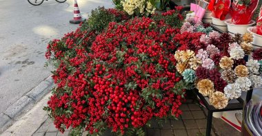 Bouquets of kokina flowers are displayed at a flower stall in Izmir, western Türkiye, Dec. 17, 2025. (DHA Photo)