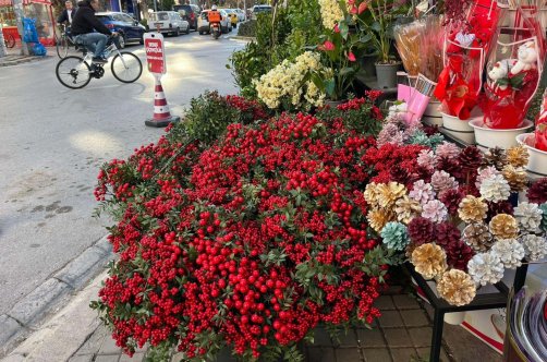 Bouquets of kokina flowers are displayed at a flower stall in Izmir, western Türkiye, Dec. 17, 2025. (DHA Photo)