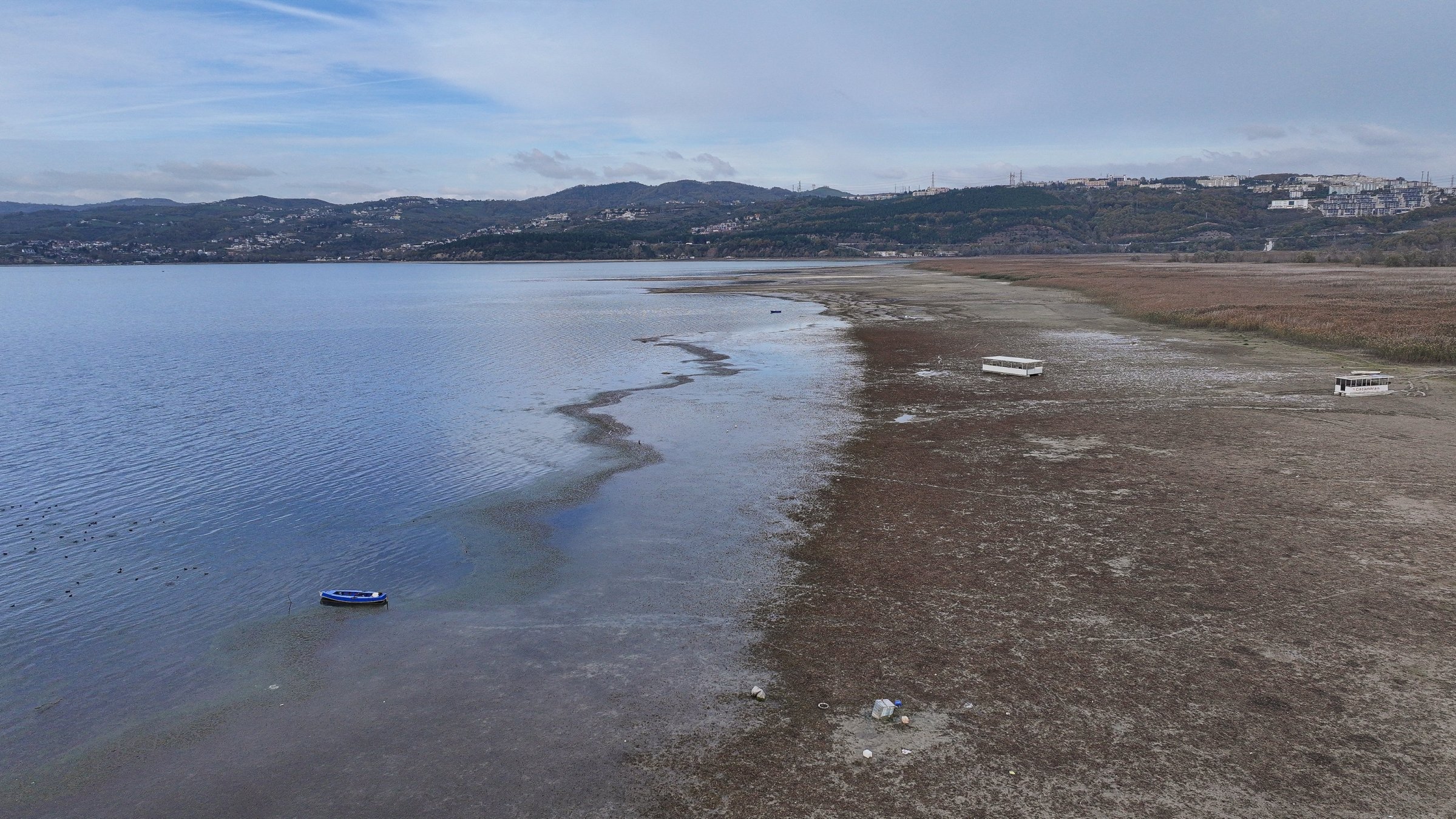 Sapanca Lake faces biodiversity threat as water quality declines