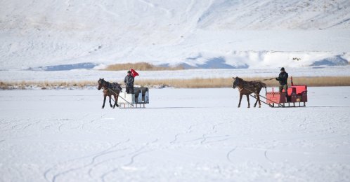Horse-drawn sleigh operators guide their horses across the partially frozen Çıldır Lake, Kars, Türkiye, Dec. 16, 2025. (AA Photo)