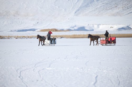 Horse-drawn sleigh operators guide their horses across the partially frozen Çıldır Lake, Kars, Türkiye, Dec. 16, 2025. (AA Photo)