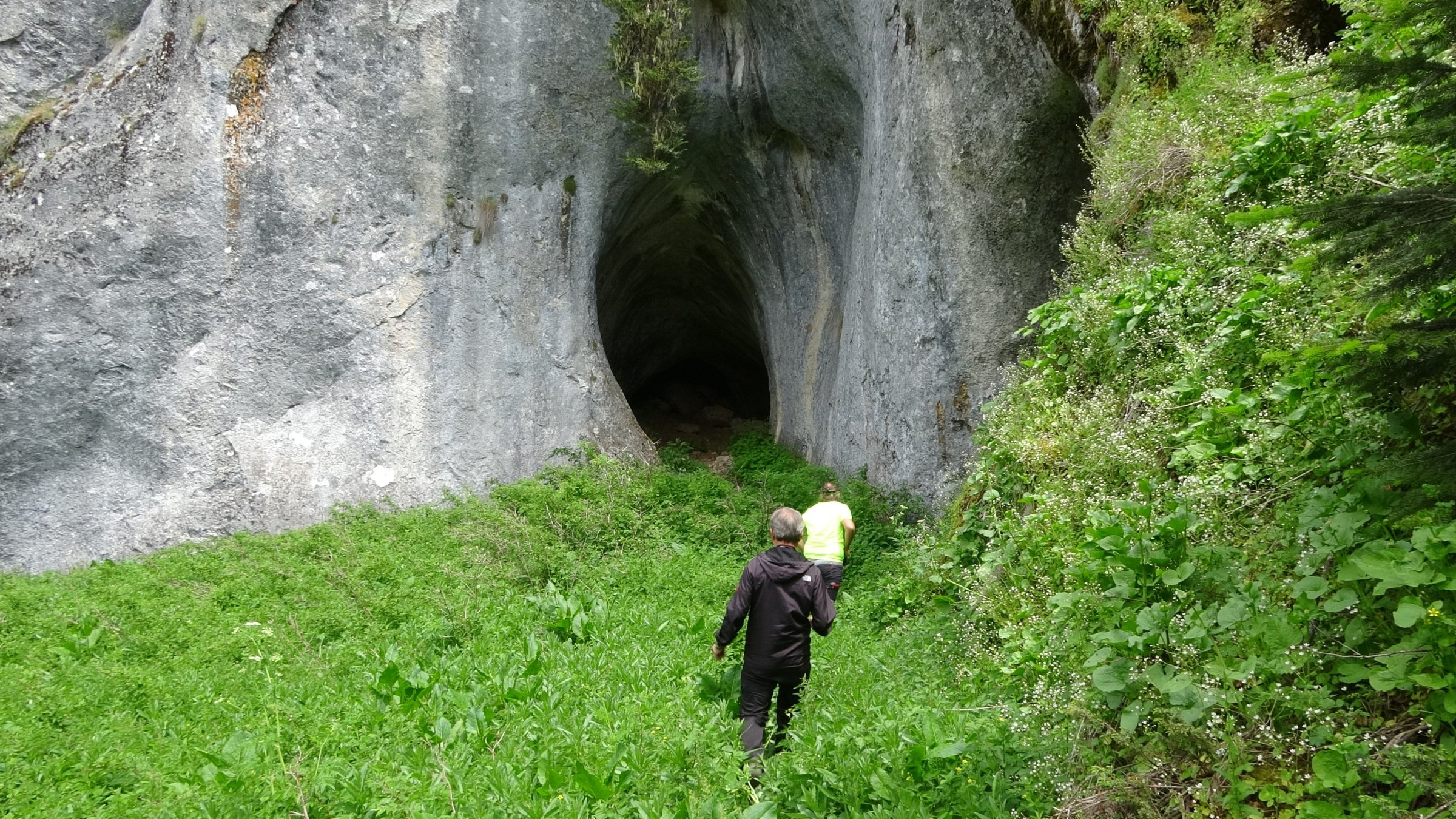 Türkiye scales up environmental protection for sites, trees, caves