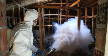 Control teams spray licensed biocidal products during winter shelter operations against the brown marmorated stink bug, Samsun, Türkiye, Dec. 19, 2025. (IHA Photo)