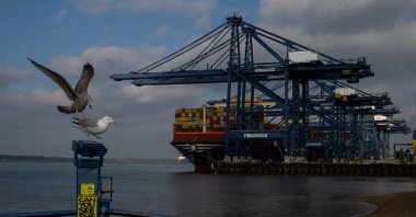 Gulls fight for space on a public binocular, in front of container ship MSC Idania docked at the Port of Felixstowe in Felixstowe, Britain, Feb. 17, 2025. (Reuters Photo)