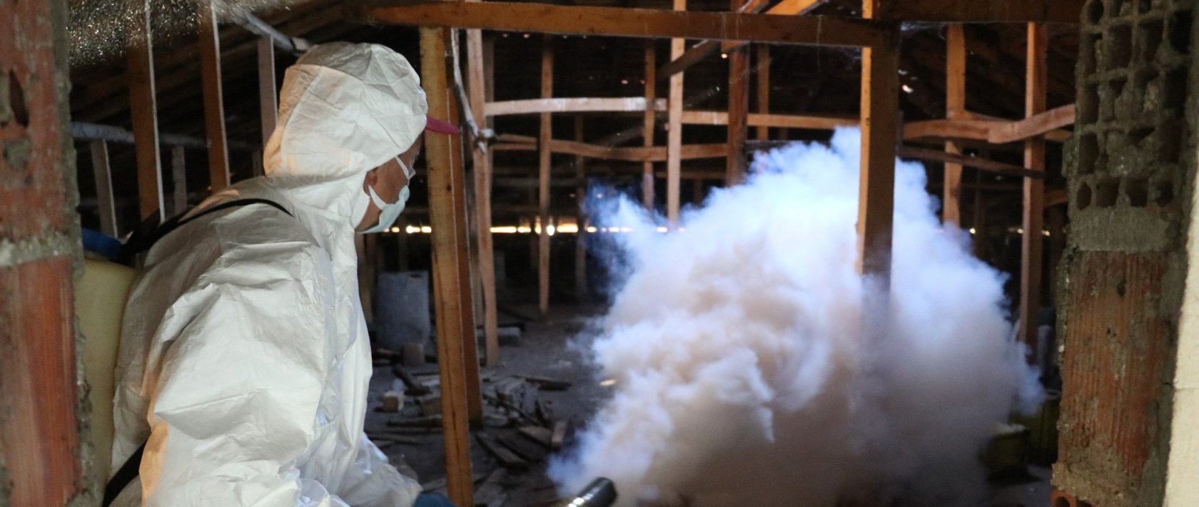 Control teams spray licensed biocidal products during winter shelter operations against the brown marmorated stink bug, Samsun, Türkiye, Dec. 19, 2025. (IHA Photo)