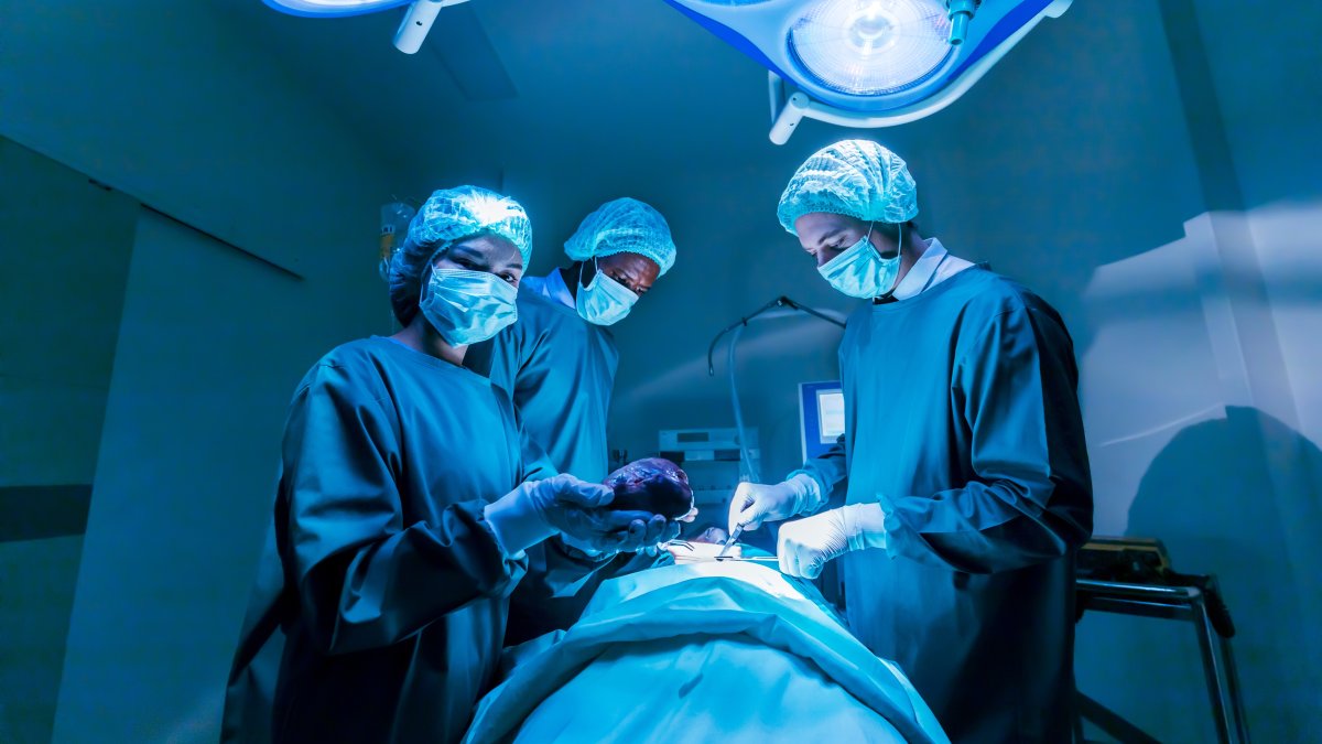 The e-Nabız Personal Health System was updated with a new interface, making it faster and more user-friendly. The number of users with an e-Nabız profile reached 79.9 million. (Shutterstock Photo)