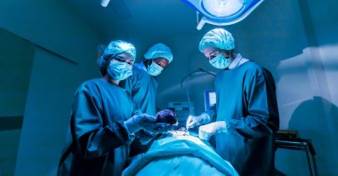 The e-Nabız Personal Health System was updated with a new interface, making it faster and more user-friendly. The number of users with an e-Nabız profile reached 79.9 million. (Shutterstock Photo)