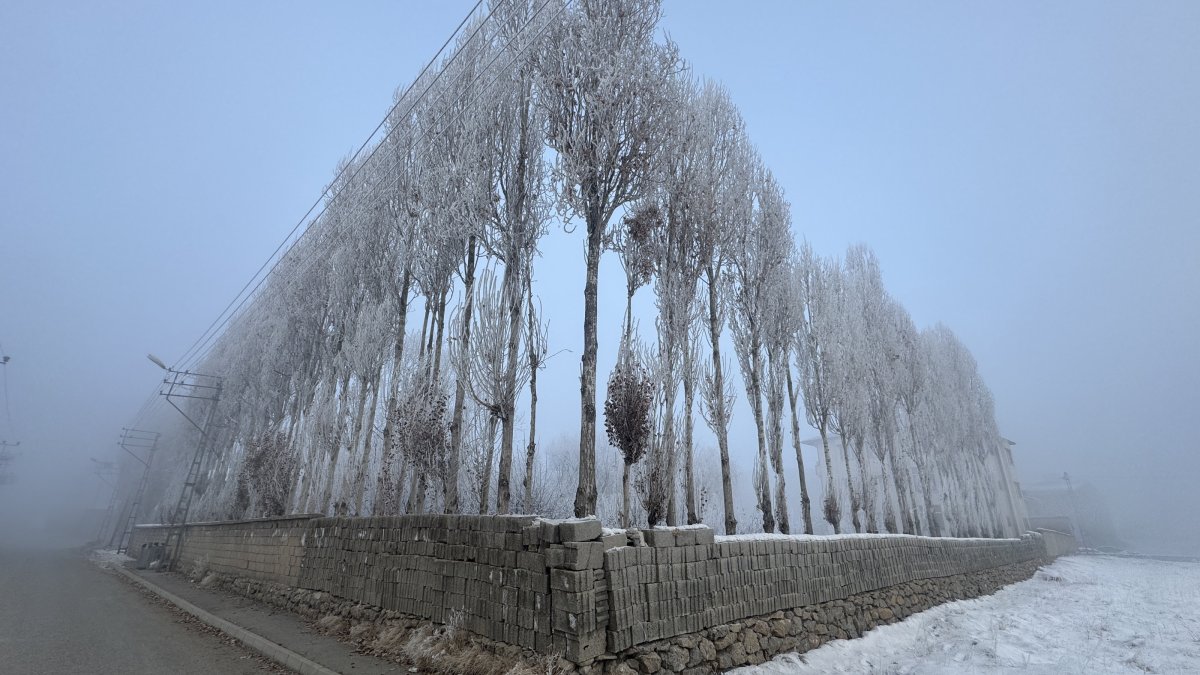 Frost coats trees during heavy fog and subzero temperatures in the Yüksekova district of Hakkari, southeastern Türkiye, Dec. 25, 2025. (AA Photo)