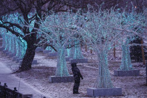 A man looks at a seasonal decoration for the New Year's and Christmas holidays, Moscow, Russia, Dec. 24, 2025. (EPA Photo)