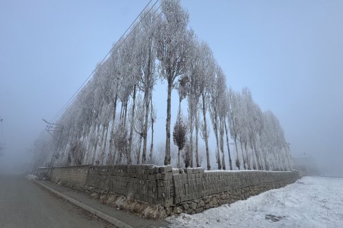 Frost coats trees during heavy fog and subzero temperatures in the Yüksekova district of Hakkari, southeastern Türkiye, Dec. 25, 2025. (AA Photo)