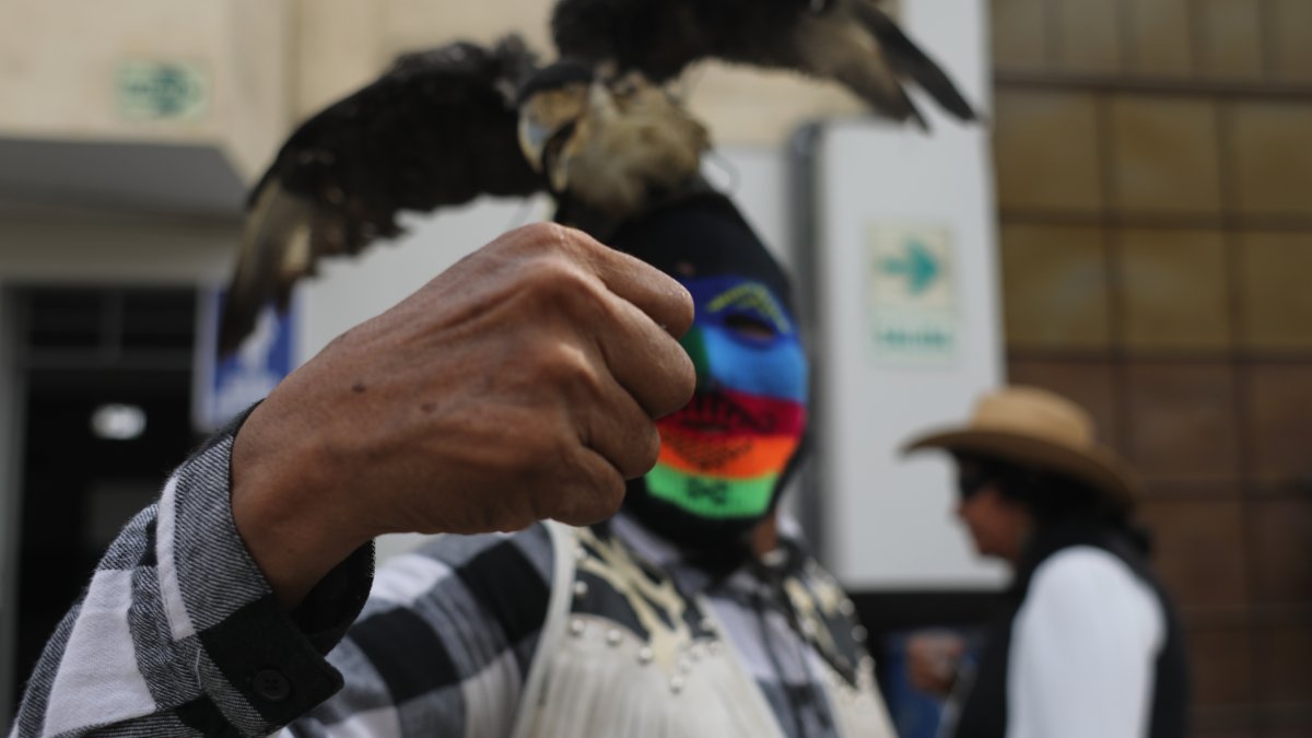 Takanakuy in Lima: Solving disputes through ancestral fistfights