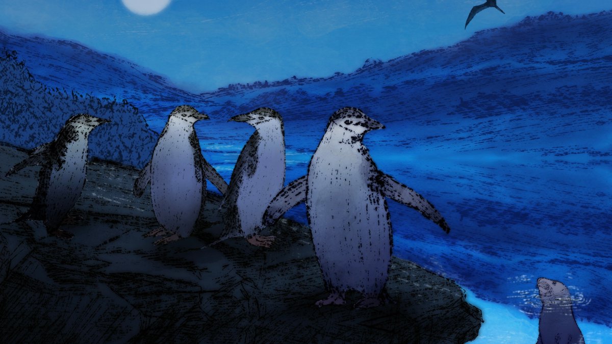 "To remain mostly alert, yet also sneak in sufficient winks, the penguins have evolved an enviable ability to function on extremely fractured sleep - at least during the breeding season." (AP Photo)