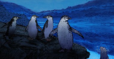 "To remain mostly alert, yet also sneak in sufficient winks, the penguins have evolved an enviable ability to function on extremely fractured sleep - at least during the breeding season." (AP Photo)