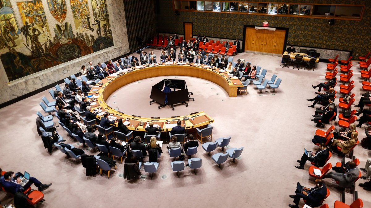 UNSC resolution backs Somalia's sovereignty, territorial integrity