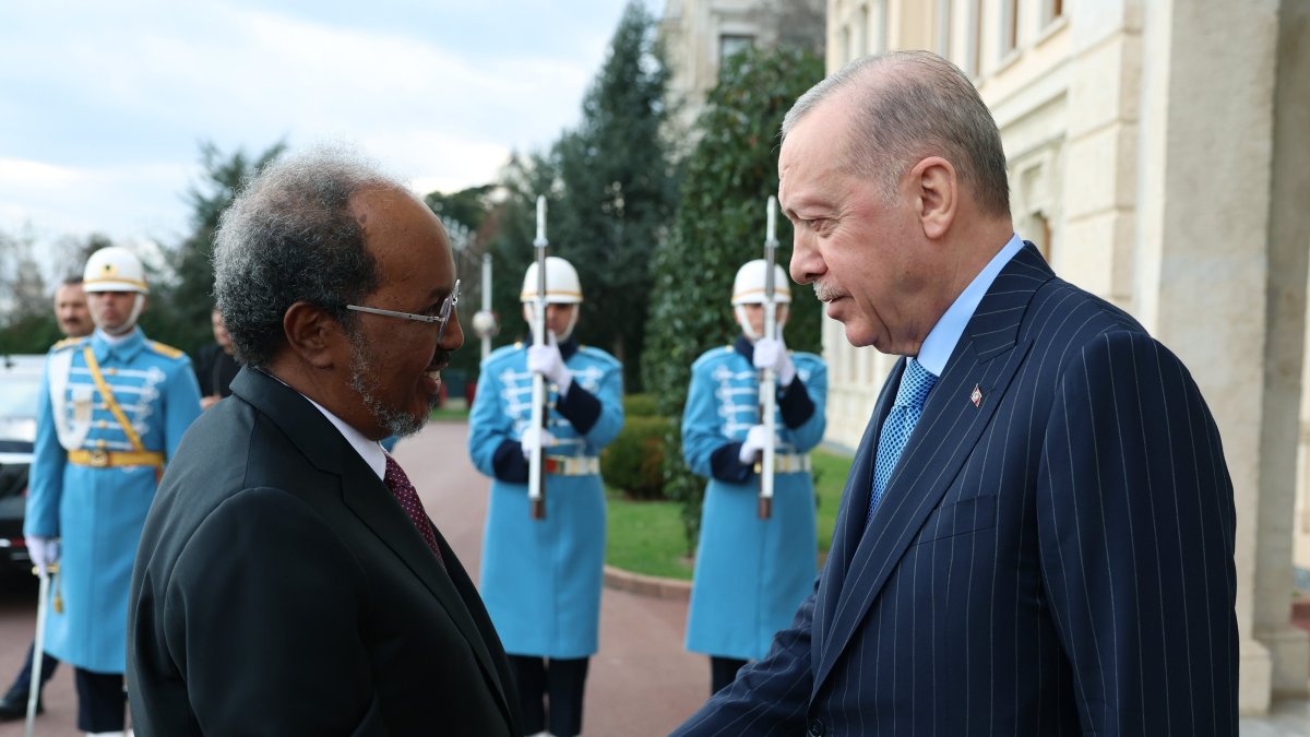 Erdoğan meets Somalia’s president after Israel recognizes Somaliland