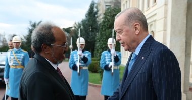 President Recep Tayyip Erdoğan shakes hands with Somali President Hassan Sheikh Mohamud (L) prior to their meeting, Istanbul, Türkiye, Dec. 30, 2025. (AA Photo)
