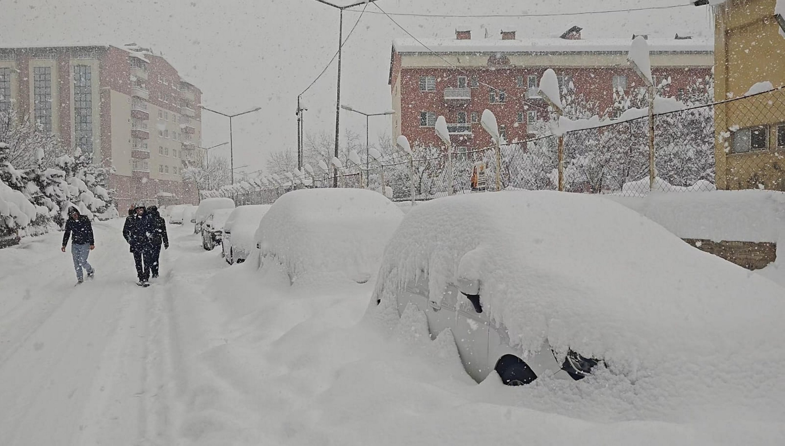 Cars buried under snow  in Muş, eastern Türkiye, Jan. 1, 2026. (AA Photo) 