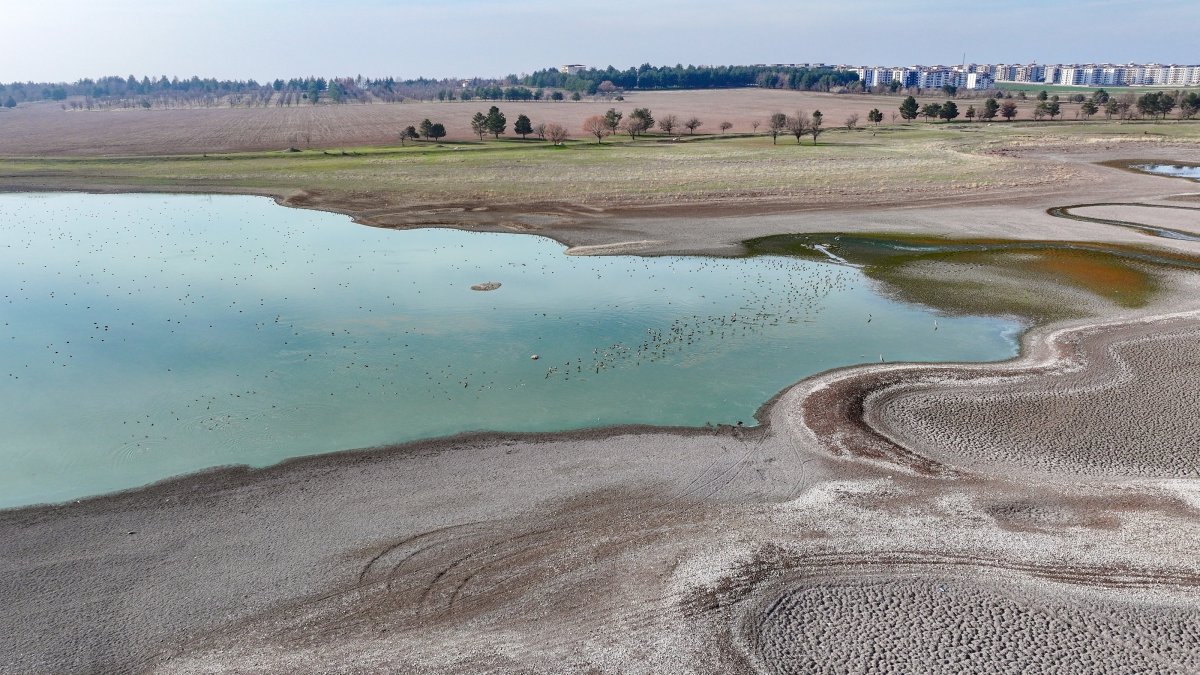 Climate change, pollution shape Türkiye’s marine agenda for 2026
