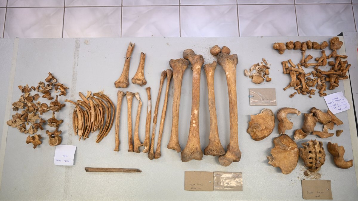 Bones in Türkiye reveal genetic clues to life 12,000 years ago