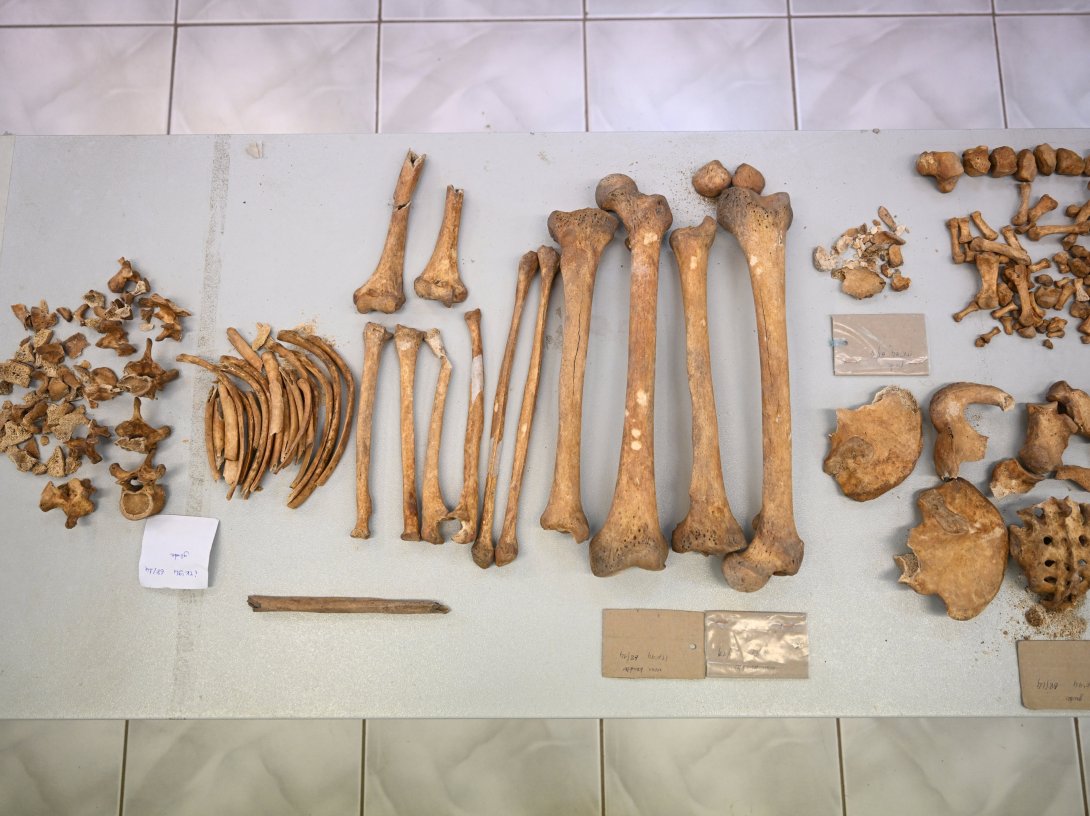 The bones found at the Çayönü Hill excavation were studied to reveal genetic information about the people who lived there 12,000 years ago, Diyarbakır, southeastern Türkiye, Dec. 29, 2025. (AA Photo)
