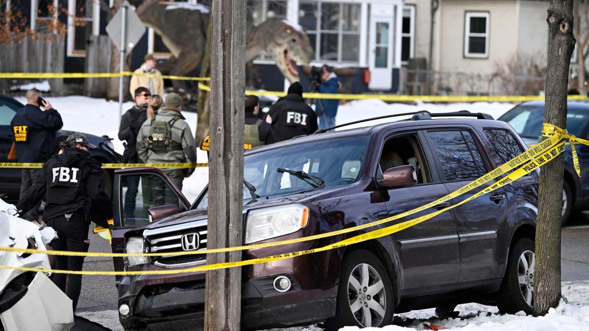 ICE agent kills woman during Minneapolis immigration raid