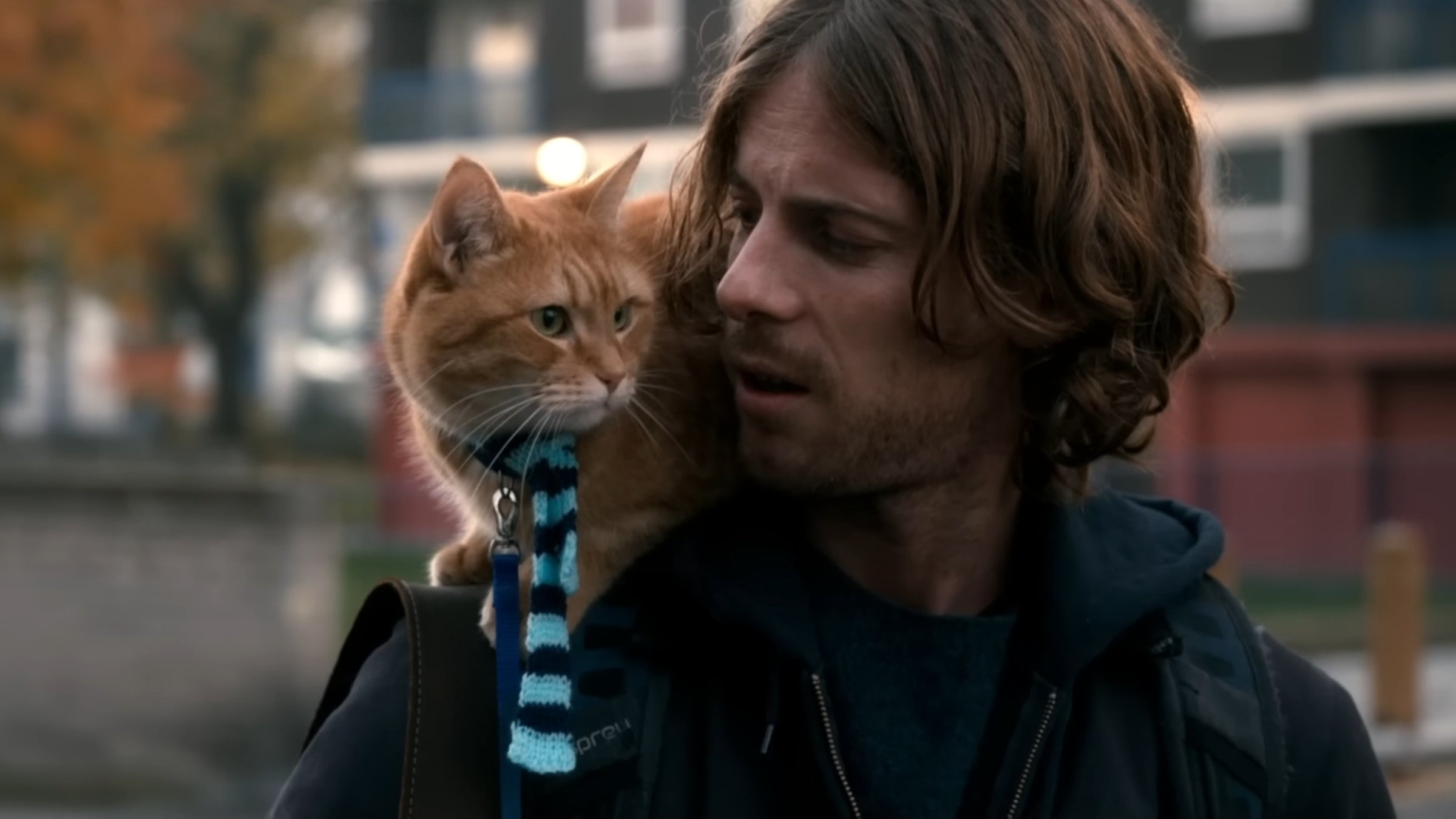 A still shot from the movie "A Street Cat Named Bob" showcases Bob the cat on the shoulder of his owner, James.