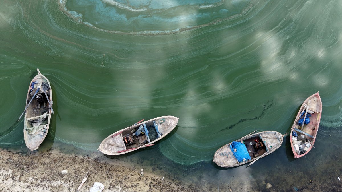 Low water leaves Demirköprü Dam covered in algae in W. Türkiye