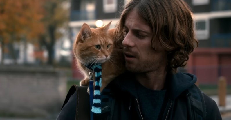 A still shot from the movie "A Street Cat Named Bob" showcases Bob the cat on the shoulder of his owner, James.