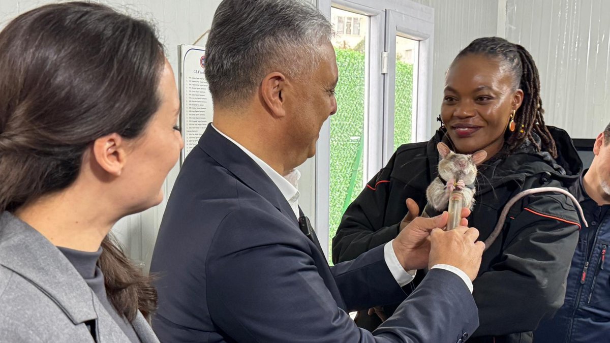 Muratpaşa Mayor Ümit Uysal (C) speaks with officials during a presentation of the project in Antalya, southern Türkiye, Jan. 8, 2025. (AA Photo)