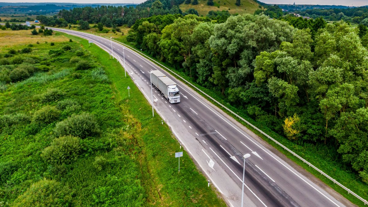"Police officers heard loud meowing coming from the lorry during a routine check on the motorway near the southern German city of Würzburg." (Shutterstock Photo)