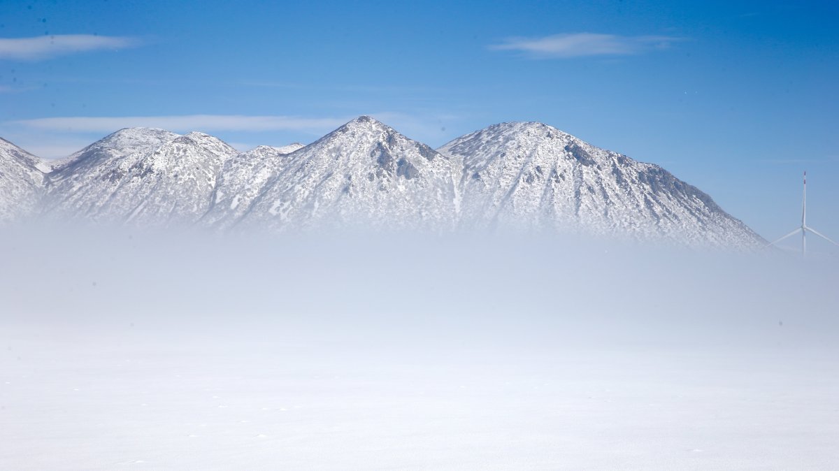 Fog, cold weather create winter scenes in eastern Türkiye