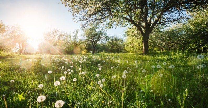 "Opening with the sentence, 'My father was a gardener. Now he’s a garden,' the novel presents both a deeply personal story of mourning and a reflection on universal human experiences." (Shutterstock Photo)