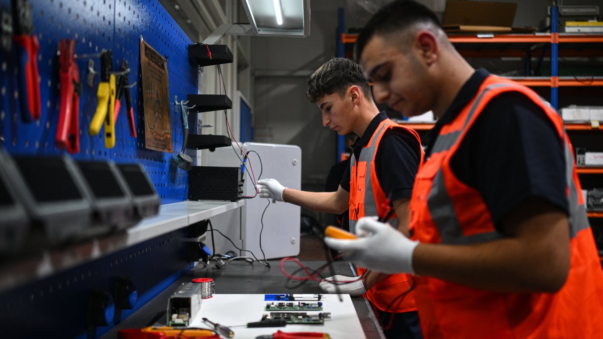 What to know about Türkiye's new youth employment drive?