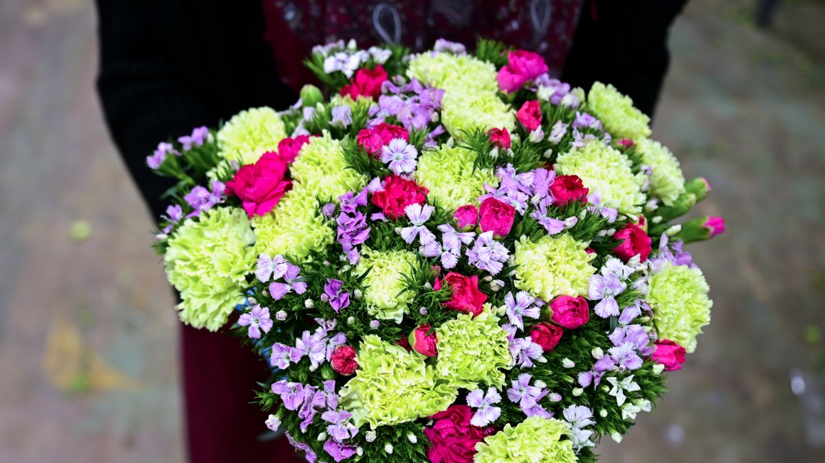 Türkiye's ornamental plant exports surge 13.7% to record $160M