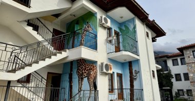 Murals by Turkish graffiti artist Axel Mengü on a house, Muğla, southwestern Türkiye, Jan. 4, 2026. (AA Photo)