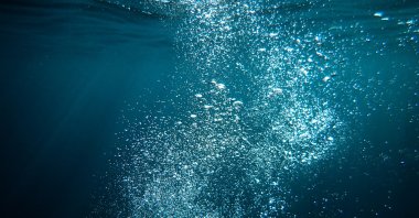In 2025, the global sea surface temperature was 0.49 degrees Celsius above the average for the period 1981 to 2010. (Shutterstock Photo)