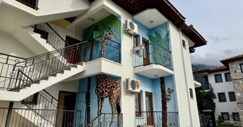 Murals by Turkish graffiti artist Axel Mengü on a house, Muğla, southwestern Türkiye, Jan. 4, 2026. (AA Photo)