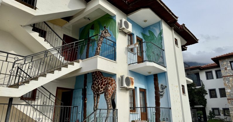 Murals by Turkish graffiti artist Axel Mengü on a house, Muğla, southwestern Türkiye, Jan. 4, 2026. (AA Photo)