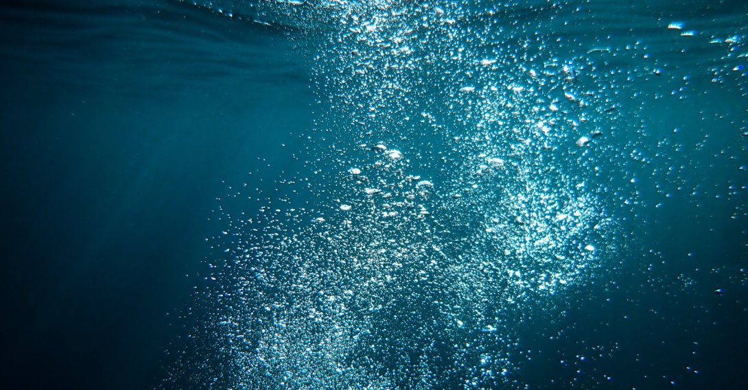 In 2025, the global sea surface temperature was 0.49 degrees Celsius above the average for the period 1981 to 2010. (Shutterstock Photo)