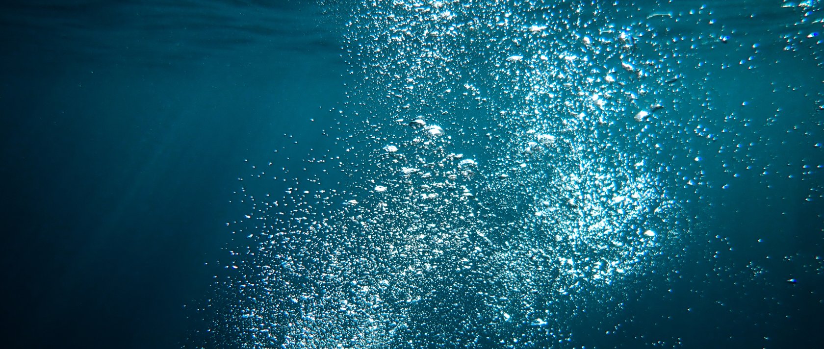 In 2025, the global sea surface temperature was 0.49 degrees Celsius above the average for the period 1981 to 2010. (Shutterstock Photo)