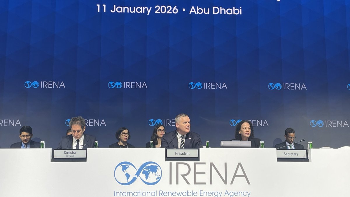 Türkiye stands out among leading countries in renewable energy: IRENA