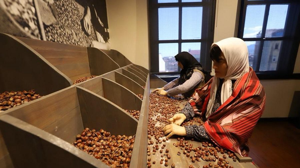 Ordu’s unique museum showcases Türkiye’s hazelnut legacy