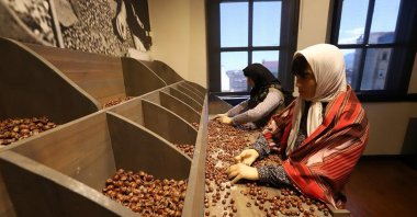 Wax figures showcase the hazelnut weeding process at the Kahraman Sağra Hazelnut Museum, Ordu, northern Türkiye, Jan. 6, 2026. (AA Photo)