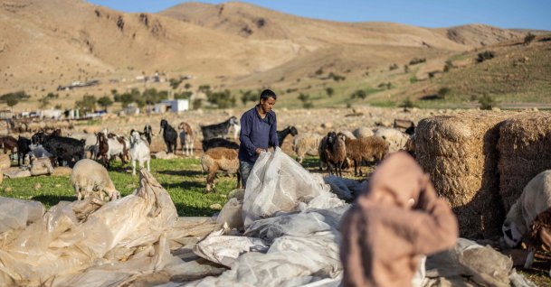 A Bedouin man gathers plastic sheeting as families begin to gather their belongings to leave their homes after continuous harassment from Israeli settlers in Ras Ein al-Auja, in the Israel-occupied West Bank, Palestine, Jan. 11, 2026. (AFP Photo)